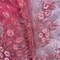 1 Yard Exquisite Off White Beaded 3D Floral Lace Fabric on Net Mesh 52 inch Width